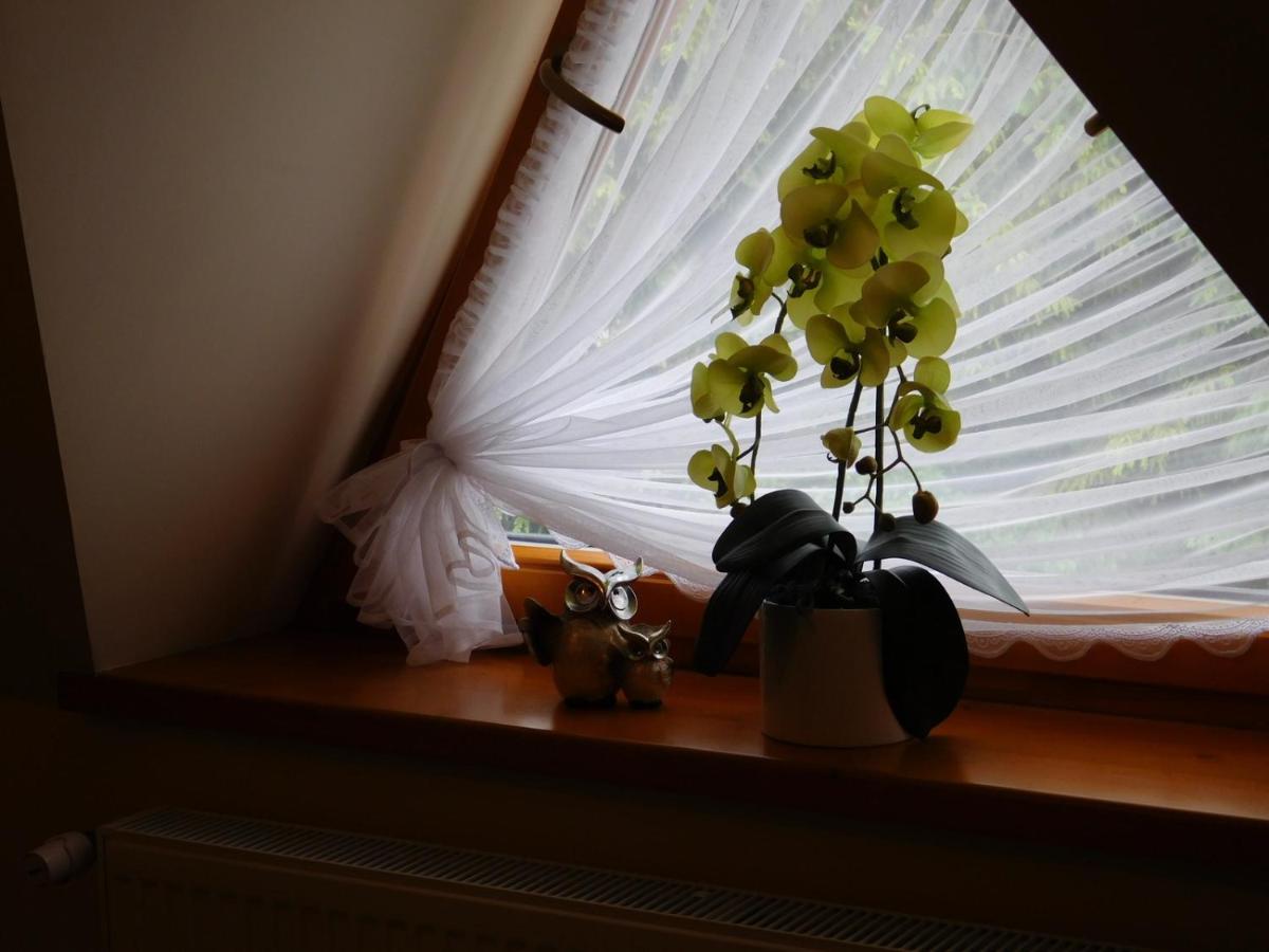 Apartament W Rowni Chocholow Kültér fotó